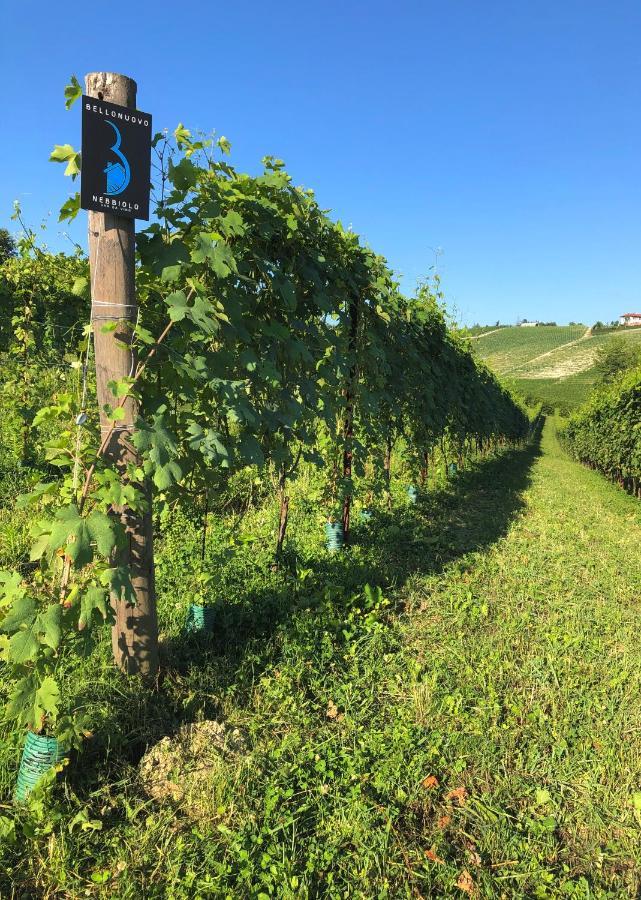 Cascina Bellonuovo Alba Kültér fotó